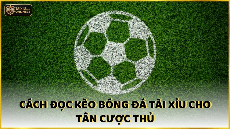 Làm Chủ Cách Đọc Kèo Bóng Đá Tài Xỉu Trong Mọi Tình Huống Cược 4 Bật mí cách cược kèo bất bại từ chuyên gia