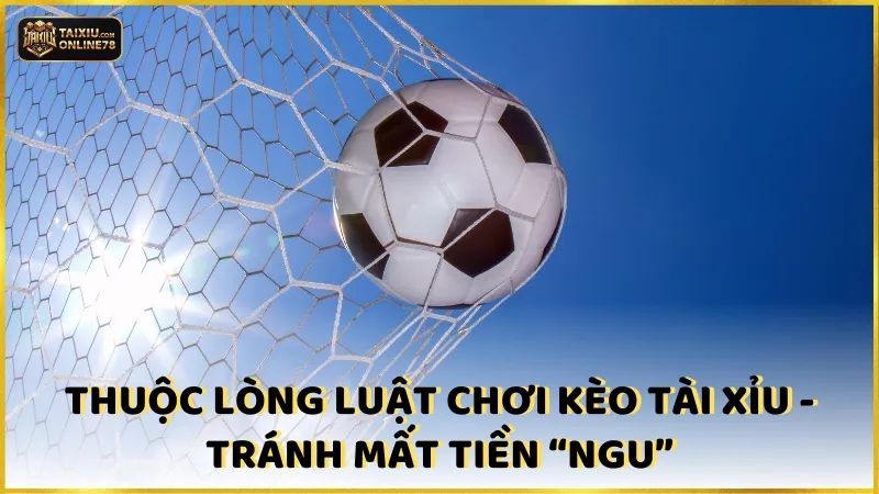 Làm Chủ Cách Đọc Kèo Bóng Đá Tài Xỉu Trong Mọi Tình Huống Cược 3 Thuộc lòng luật chơi kèo tài xỉu - tránh mất tiền “ngu”