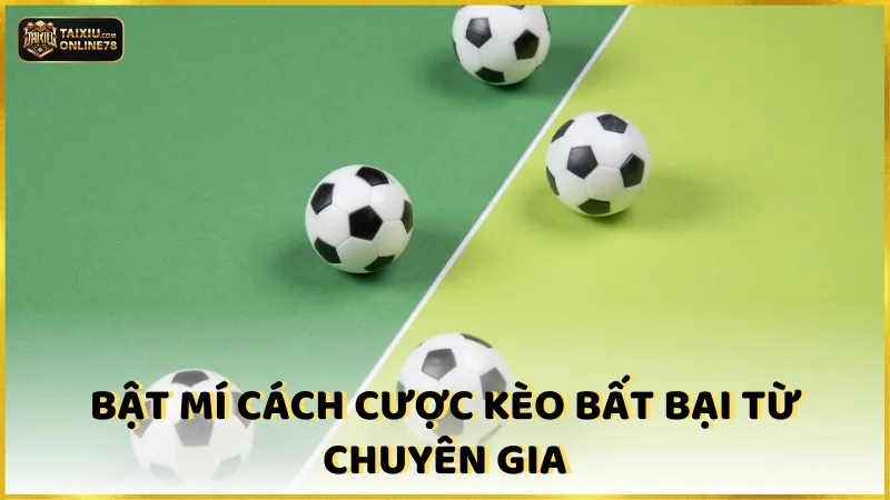 Làm Chủ Cách Đọc Kèo Bóng Đá Tài Xỉu Trong Mọi Tình Huống Cược 5 Cách đọc kèo bóng đá tài xỉu cho tân cược thủ