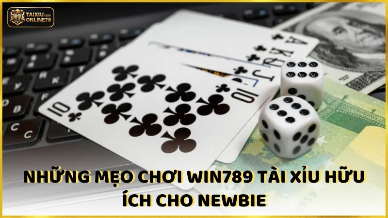 Những mẹo chơi Win789 tài xỉu hữu ích cho newbie