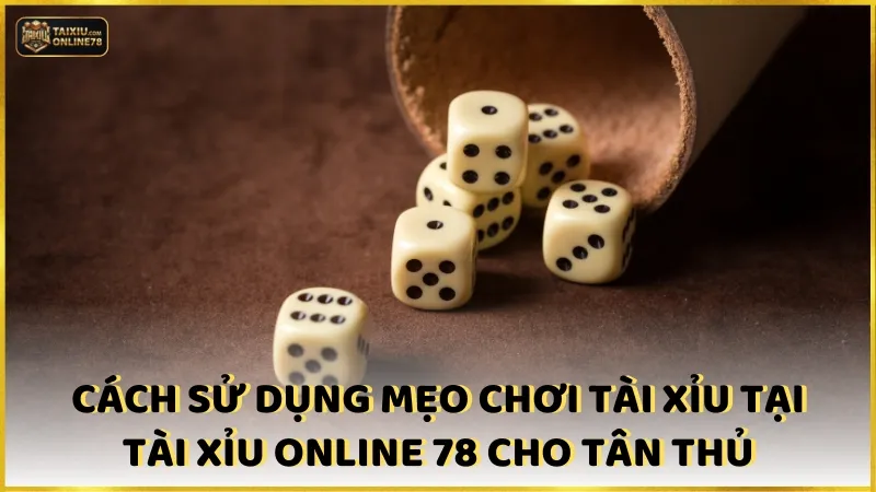 Mẹo Chơi Tài Xỉu Online: Cách Biến Cược Nhỏ Thành Chiến Thắng Lớn 3 Chi tiết cách sử dụng mẹo chơi tài xỉu tại Tài xỉu online 78 cho tân thủ